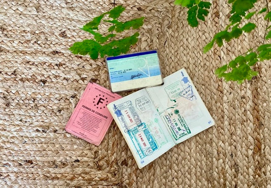 documents-voyage-indisensables